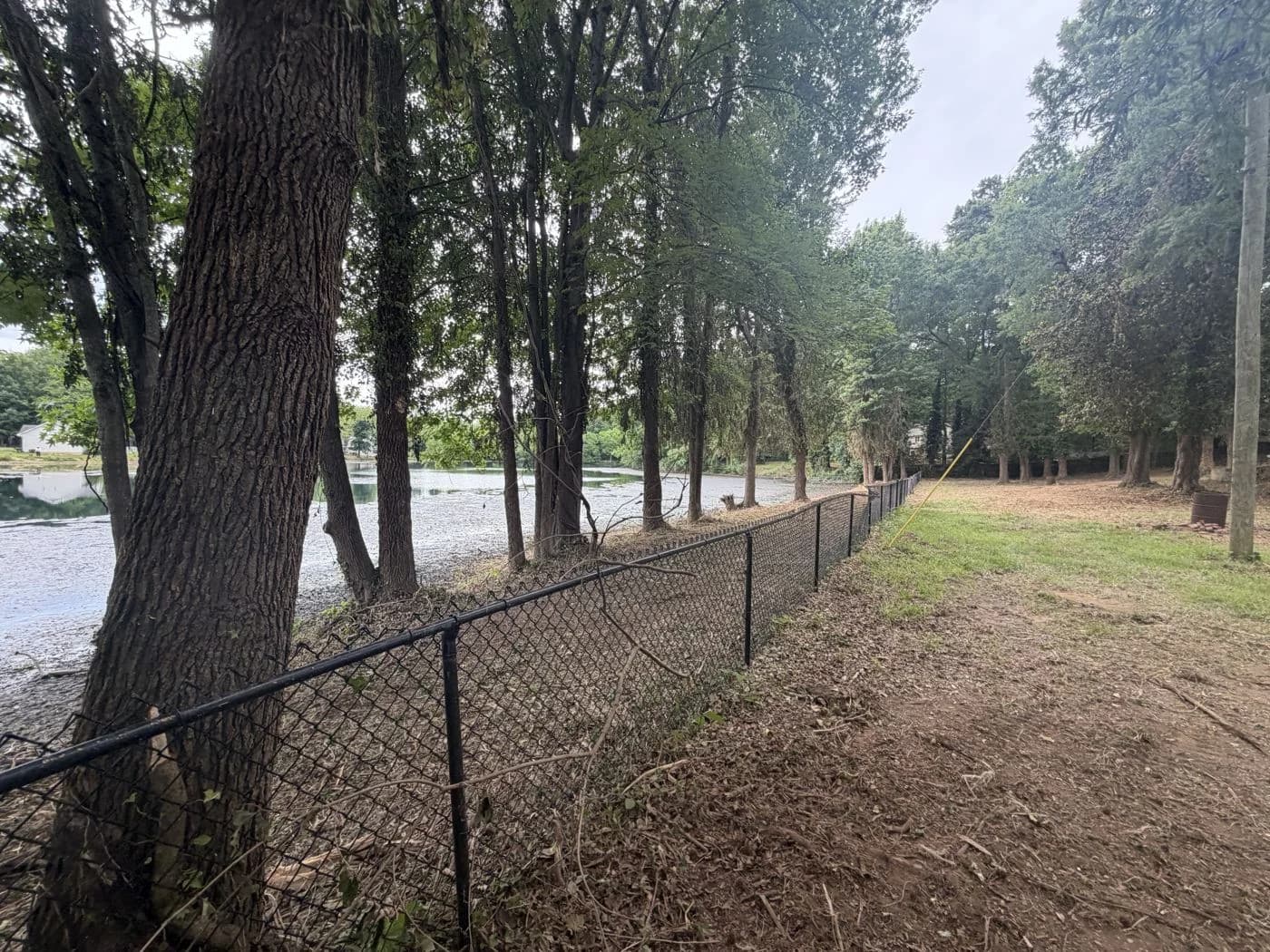 Cleared ground along the fence and retained trees at the Mint Hill property