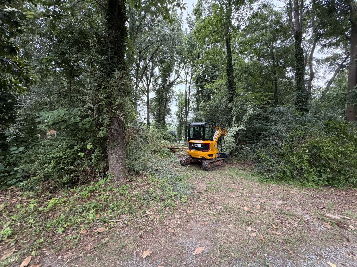 Brush clearing at the Mint Hill property