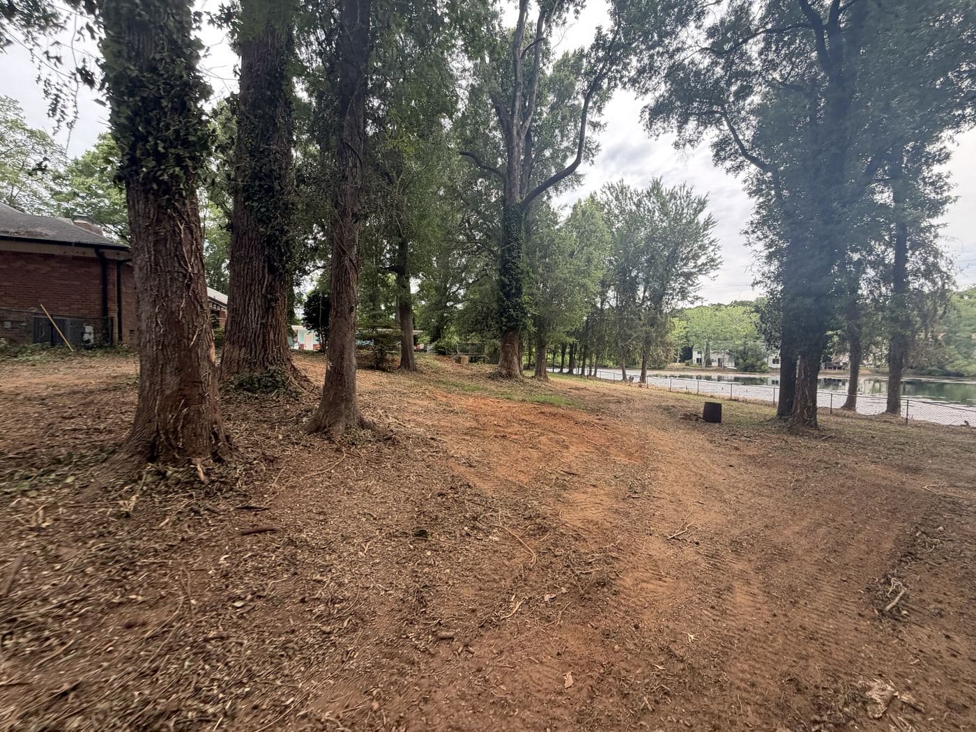 Open ground among mature trees at the Mint Hill property after clearing