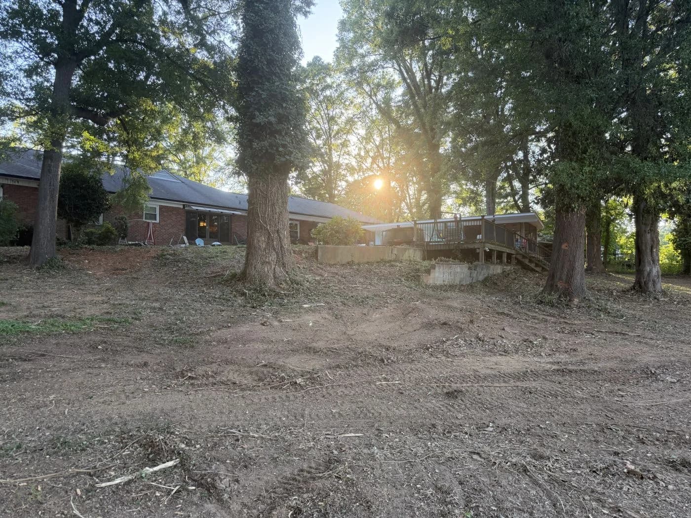 Sunlight across the cleared residential yard among retained mature trees